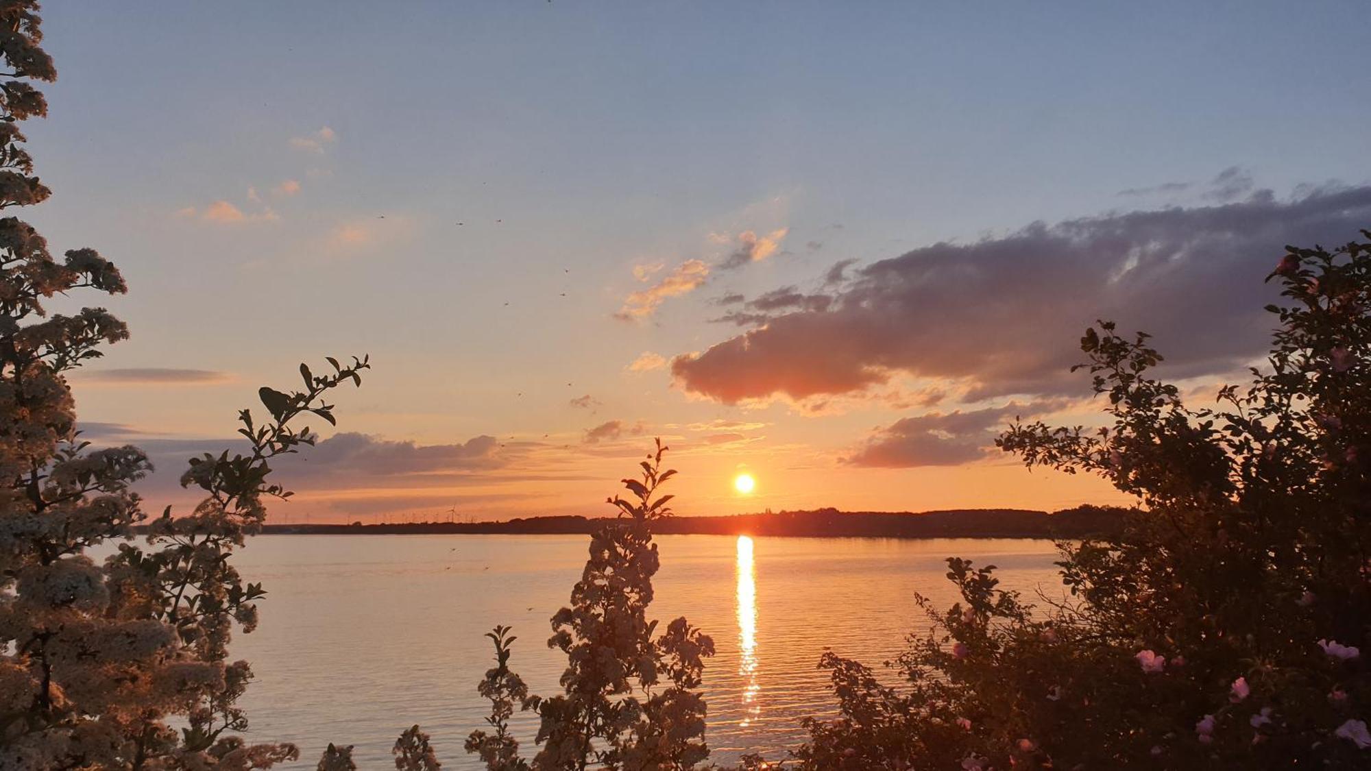 Seensucht & Urlaubstraeume, Ferienwohnung "Strand-Romantik" Senftenberg Zewnętrze zdjęcie